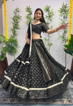 Embroidered Georgette Lehenga in Black