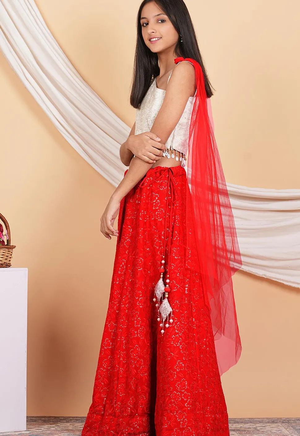 Embroidered Georgette Lehenga in Red