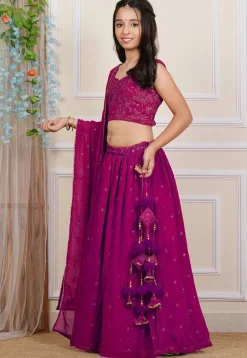 Embroidered Georgette Lehenga in Fuchsia