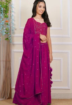 Embroidered Georgette Lehenga in Fuchsia