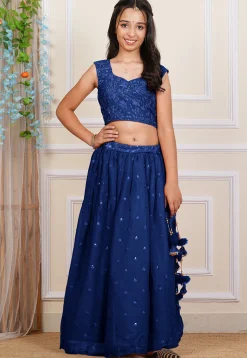 Embroidered Georgette Lehenga in Royal Blue