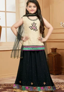 Embroidered Georgette Lehenga in Black