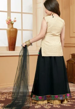 Embroidered Georgette Lehenga in Black