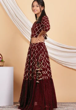 Embroidered Georgette Lehenga in Maroon
