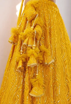 Embroidered Georgette Lehenga in Mustard