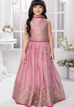 Embroidered Georgette Lehenga in Pink