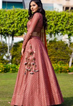 Embroidered Georgette Lehenga in Dark Peach