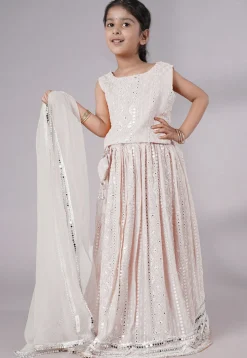 Embroidered Georgette Lehenga in White