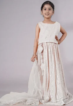 Embroidered Georgette Lehenga in White