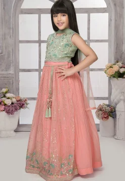 Embroidered Georgette Lehenga in Peach