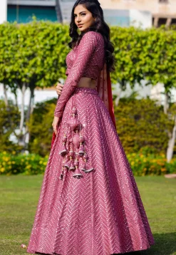 Embroidered Georgette Lehenga in Pink