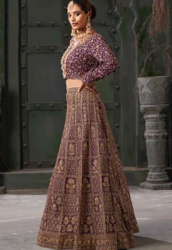 Embroidered Georgette Lehenga in Wine