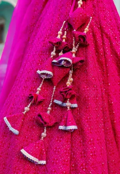 Embroidered Georgette Lehenga in Fuchsia