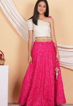 Embroidered Georgette Lehenga in Fuchsia