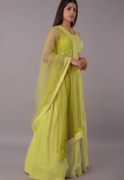 Embroidered Georgette Lehenga in Light Green
