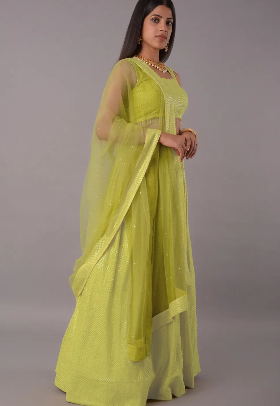 Embroidered Georgette Lehenga in Light Green