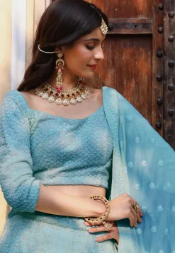 Embroidered Georgette Lehenga in Pastel Blue