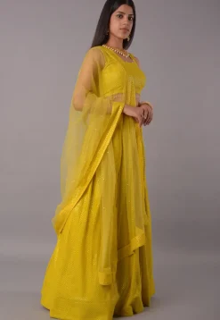 Embroidered Georgette Lehenga in Olive Green