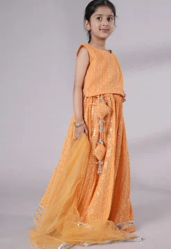 Embroidered Georgette Lehenga in Light Orange