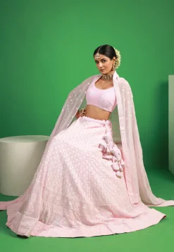 Embroidered Georgette Lehenga in Baby Pink