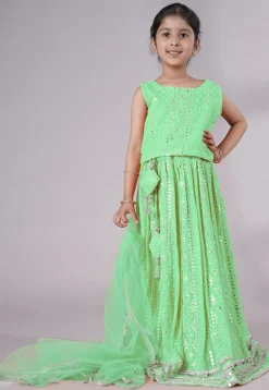 Embroidered Georgette Lehenga in Light Green