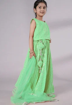 Embroidered Georgette Lehenga in Light Green