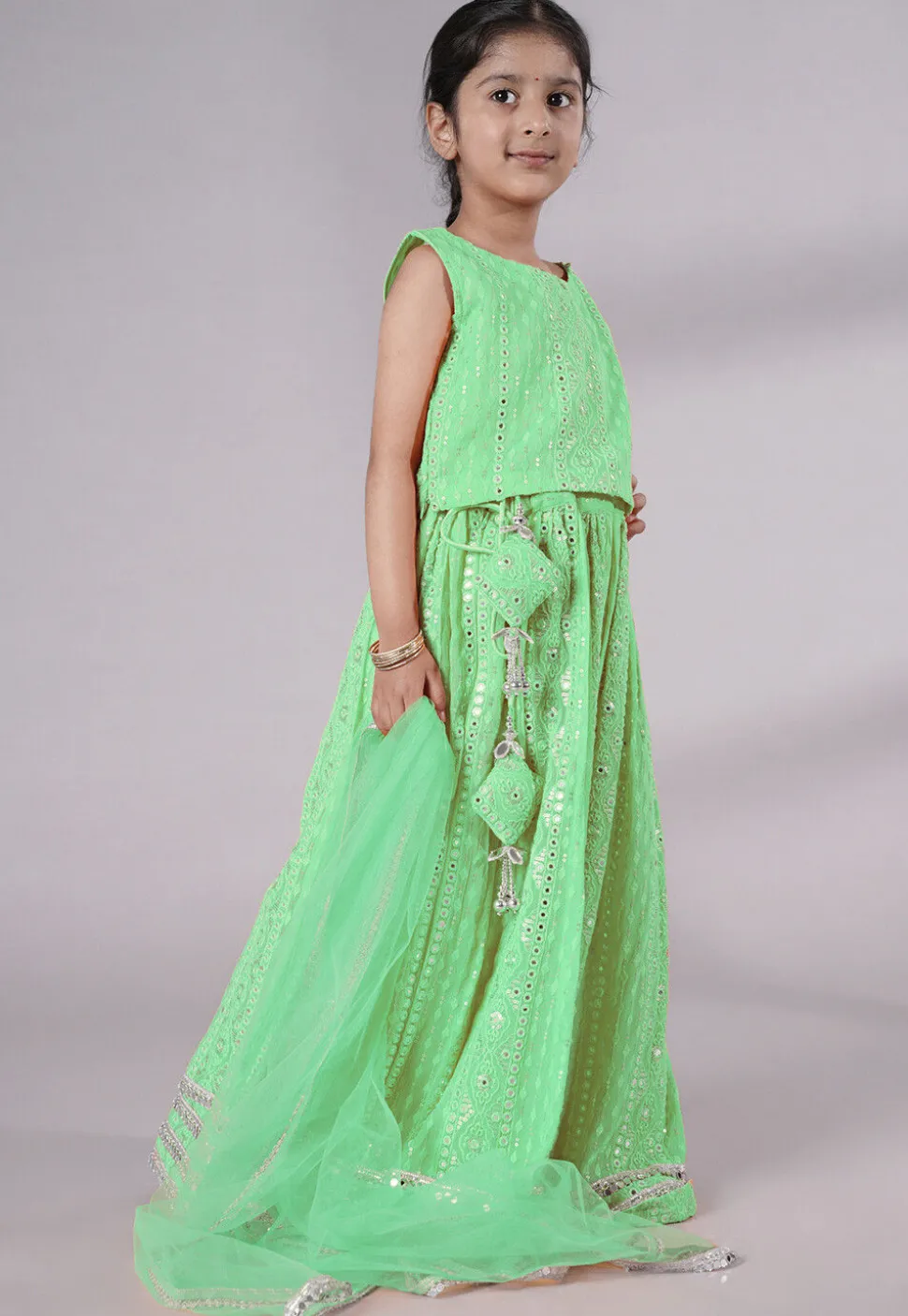 Embroidered Georgette Lehenga in Light Green