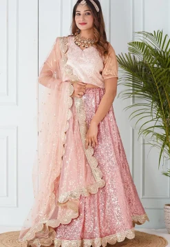 Embroidered Georgette Lehenga in Light Pink