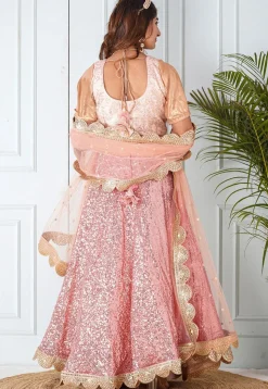 Embroidered Georgette Lehenga in Light Pink