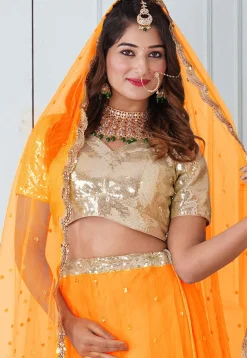 Embroidered Georgette Lehenga in Mustard and Beige