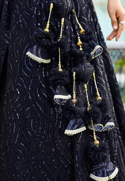 Embroidered Georgette Lehenga in Black