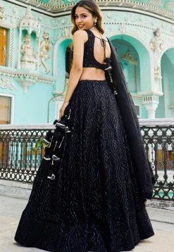 Embroidered Georgette Lehenga in Black