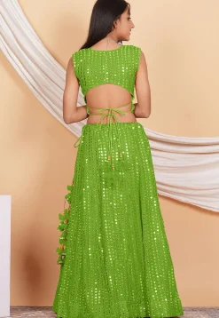 Embroidered Georgette Lehenga in Green