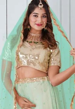 Embroidered Georgette Lehenga in Pastel Green and Beige