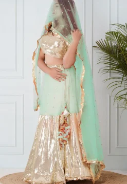 Embroidered Georgette Lehenga in Pastel Green and Beige