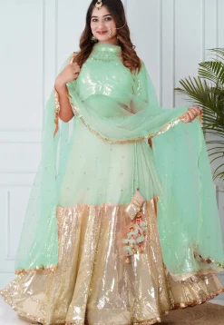 Embroidered Georgette Lehenga in Pastel Green and Beige