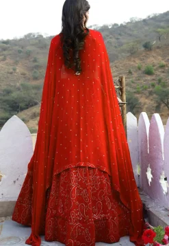 Embroidered Georgette Lehenga in Red