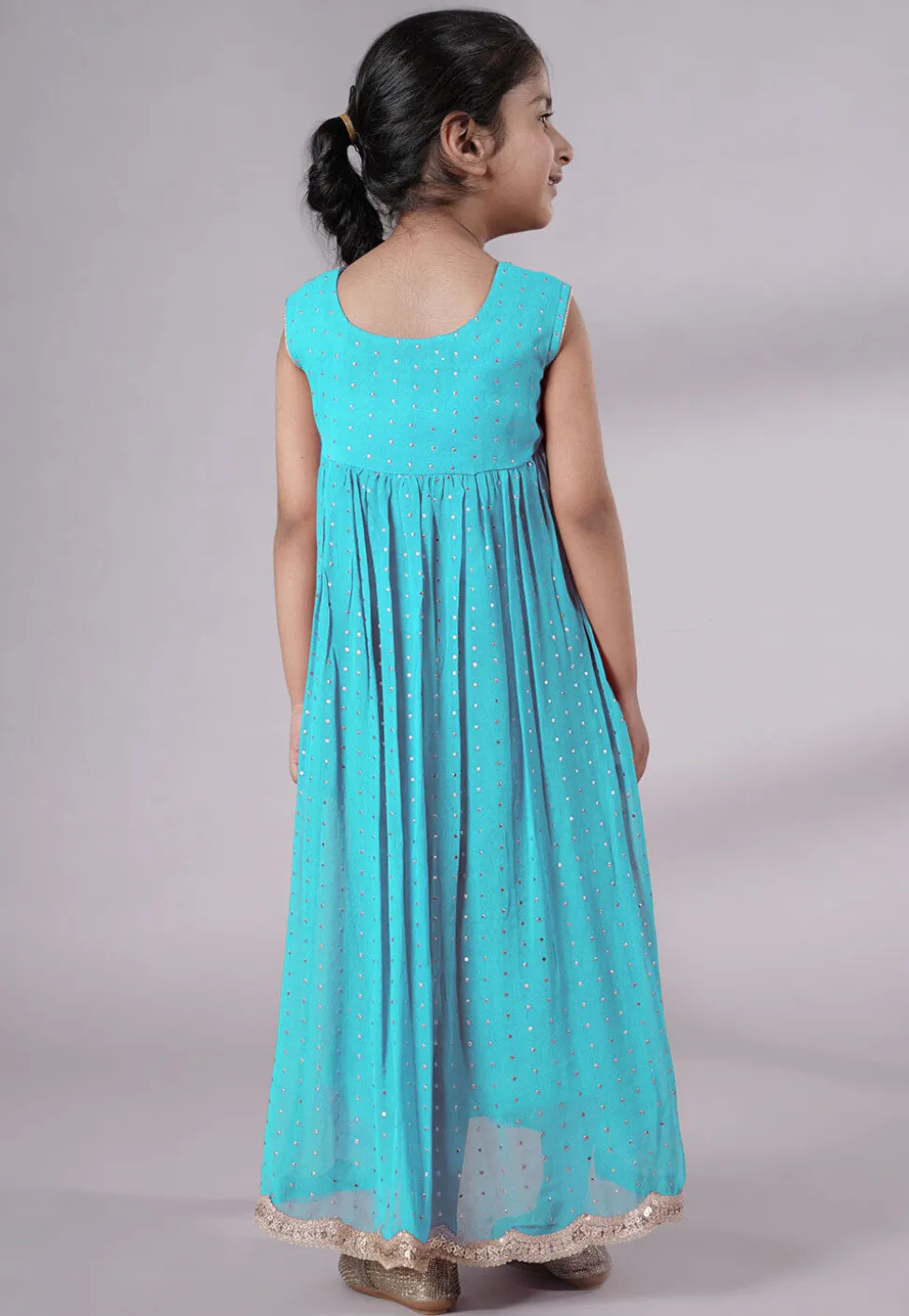 Embroidered Georgette Maxi Dress in Sky Blue
