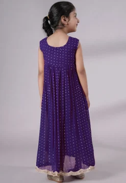 Embroidered Georgette Maxi Dress in Dark Purple