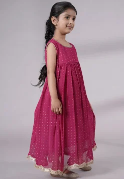 Embroidered Georgette Maxi Dress in Pink