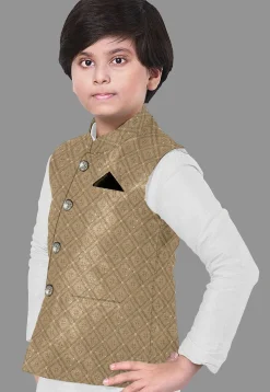 Embroidered Georgette Nehru Jacket in Dark Begie