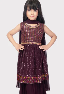 Embroidered Georgette Pakistani Suit in Wine