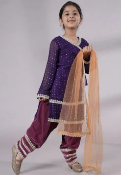 Embroidered Georgette Punjabi Suit in Dark Purple