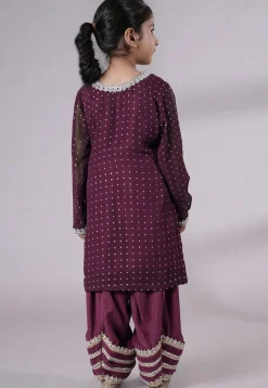 Embroidered Georgette Punjabi Suit in Purple