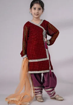 Embroidered Georgette Punjabi Suit in Maroon