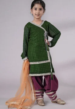 Embroidered Georgette Punjabi Suit in Daer Green