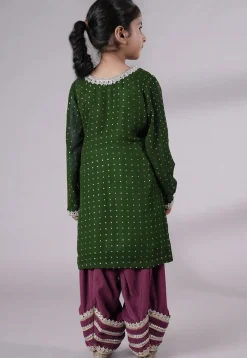 Embroidered Georgette Punjabi Suit in Daer Green
