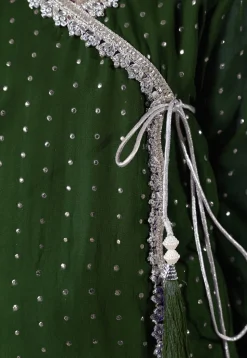 Embroidered Georgette Punjabi Suit in Daer Green