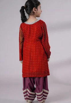 Embroidered Georgette Punjabi Suit in Red