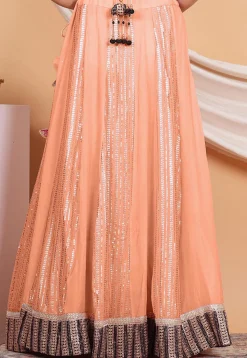 Embroidered Georgette Skirt in Peach